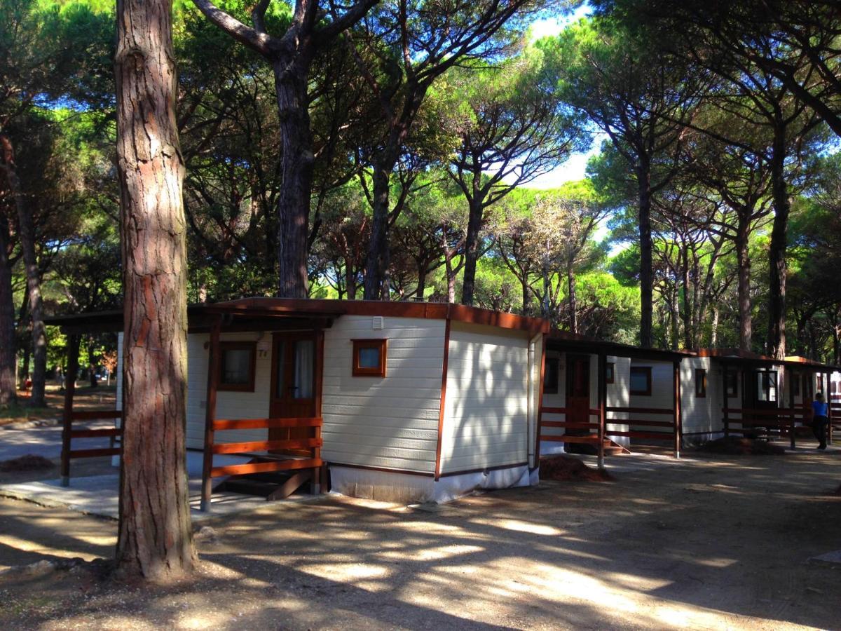Buona Mobile Homes On Camping Mare E Pineta Лидо ди Спина Екстериор снимка