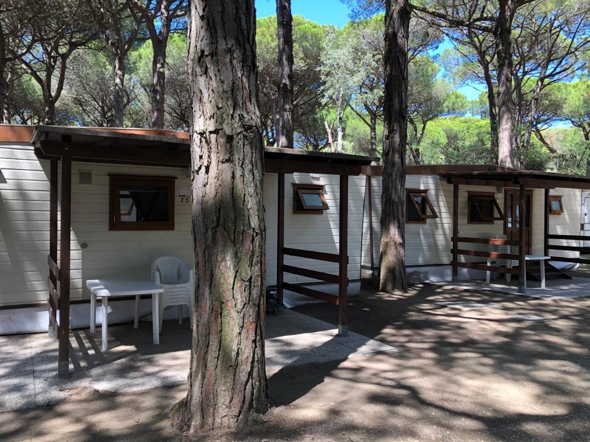 Buona Mobile Homes On Camping Mare E Pineta Лидо ди Спина Екстериор снимка